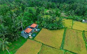 The Alus Cottage And Villa